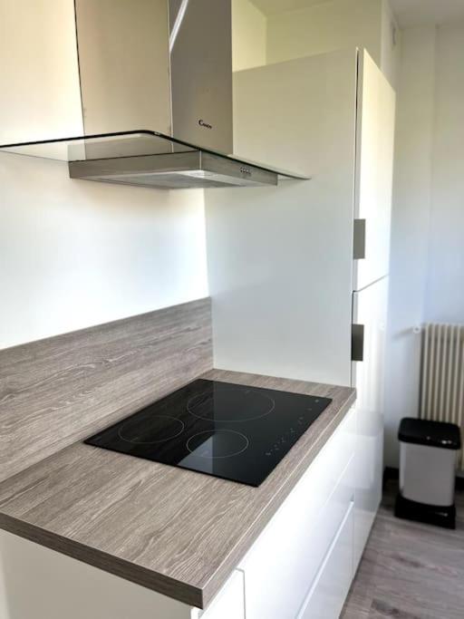 Superbe Appartement Lumineux Avec Parking Gratuit ヴィンツェンハイム エクステリア 写真