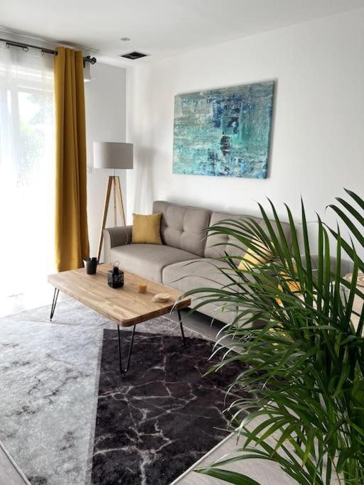 Superbe Appartement Lumineux Avec Parking Gratuit ヴィンツェンハイム エクステリア 写真
