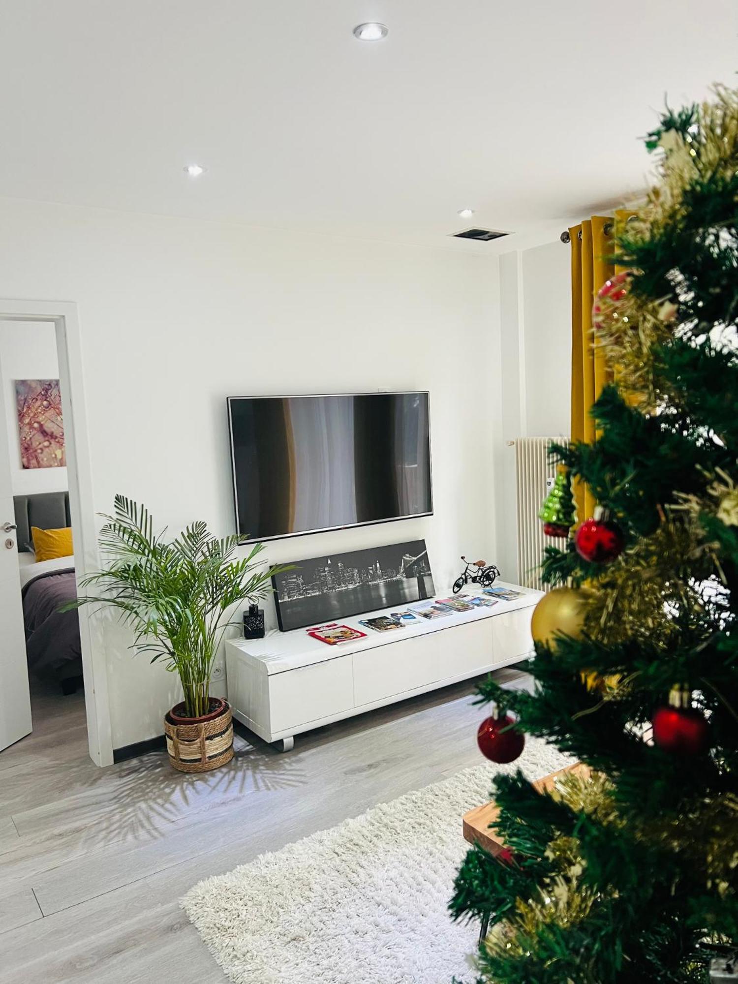 Superbe Appartement Lumineux Avec Parking Gratuit ヴィンツェンハイム エクステリア 写真